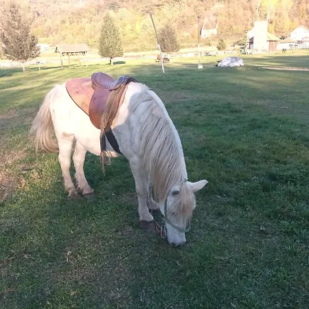 Lavanda Апартаменты