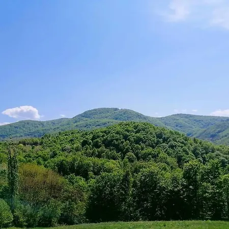 Lavanda * Banja Koviljača