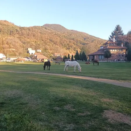 Апартаменты Lavanda *