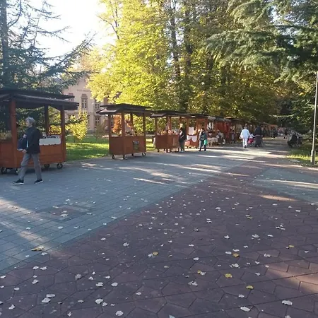 Lavanda * Баня-Ковиляча