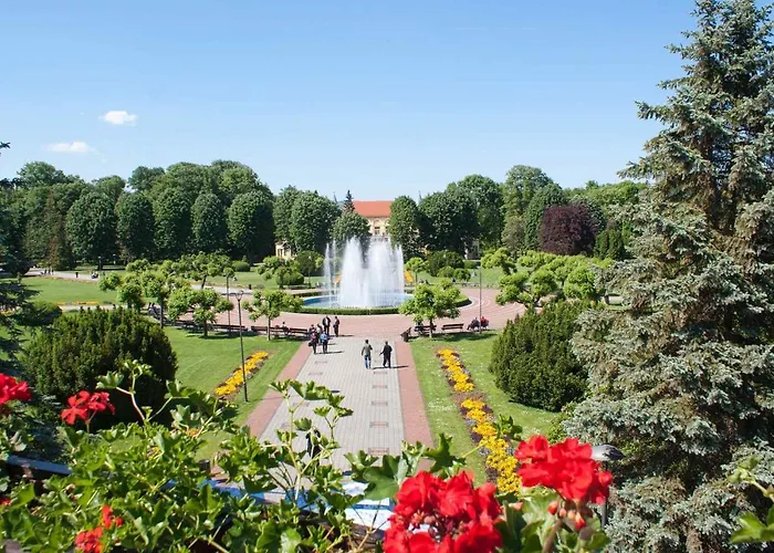 Lavanda Διαμέρισμα