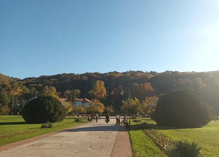 Apartment Lavanda Banja Koviljača