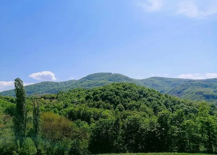 Lavanda * Banja Koviljača