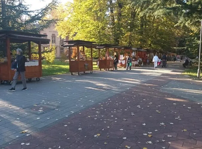 Lavanda * Banja Koviljača